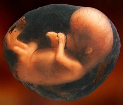 Unborn-Child
